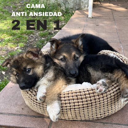 Cama anti ansiedad 2 en 1